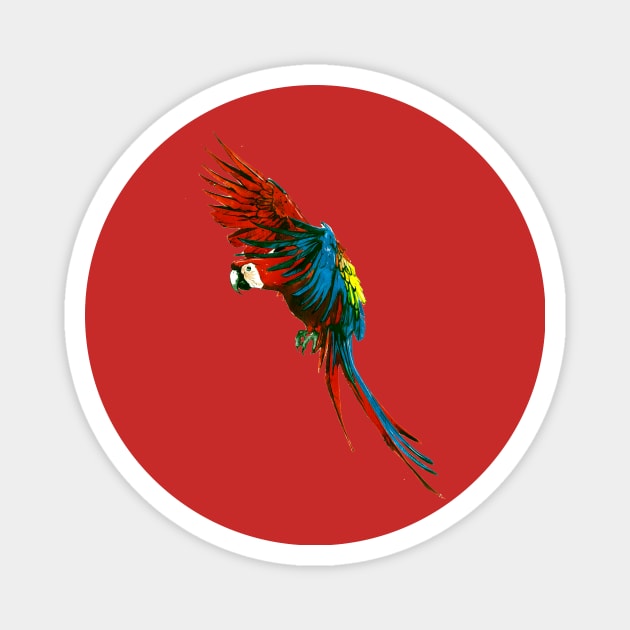 Scarlet Macaw 3 Magnet by A.E. Kieren Illustration